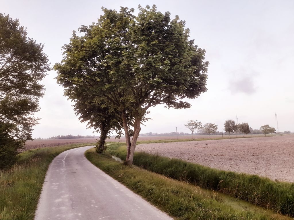 Vicino alla natura - campeggio sotto gli alberi