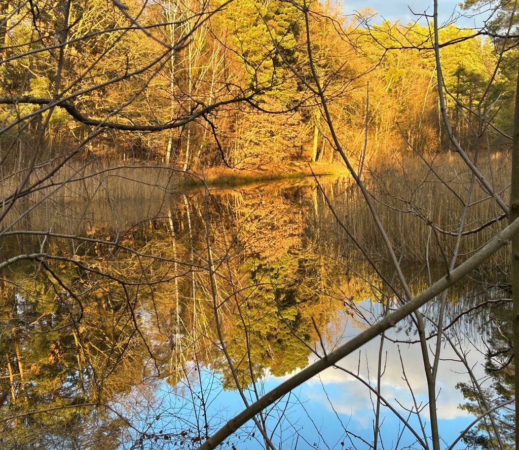 View of Silbersee