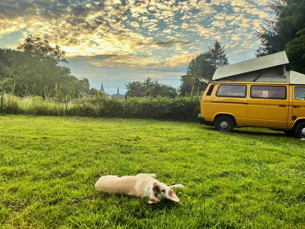 Vacances dans la plus belle vallée latérale de la Moyenne Moselle