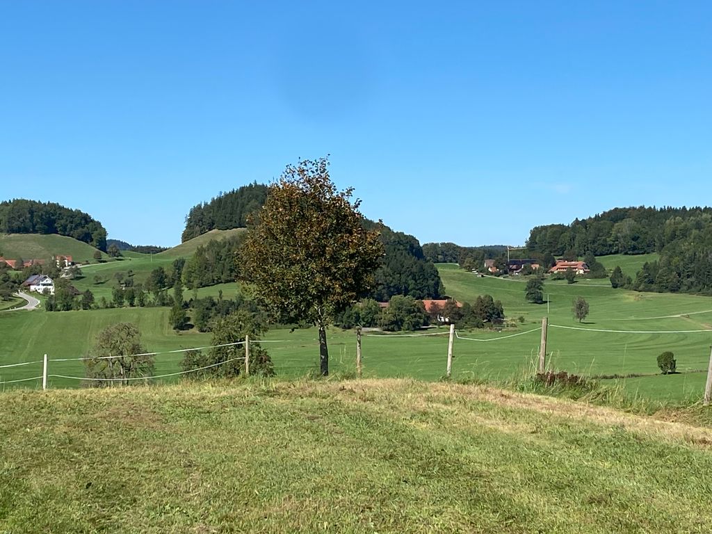 Piazzola in fattoria con vista sulle montagne