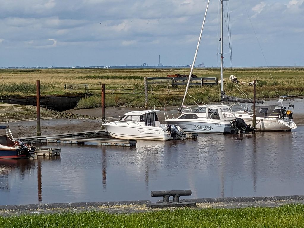 Mer du Nord Situation isolée au milieu des pâturages pour chevaux