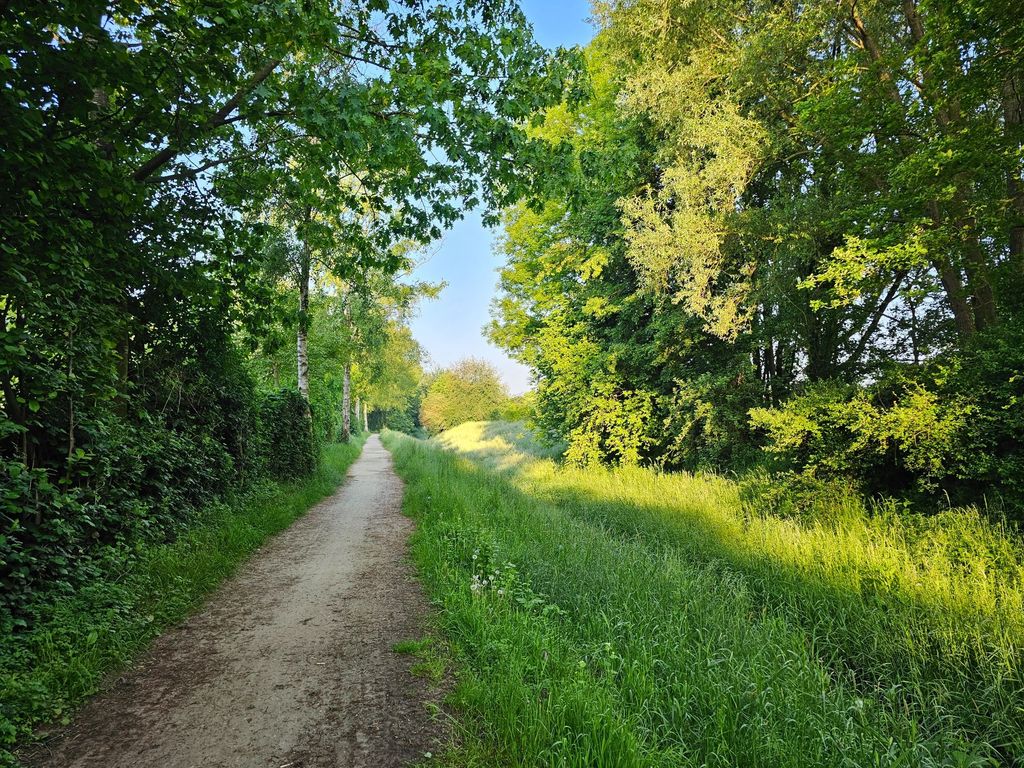 Enjoy pure nature on the Dutch border