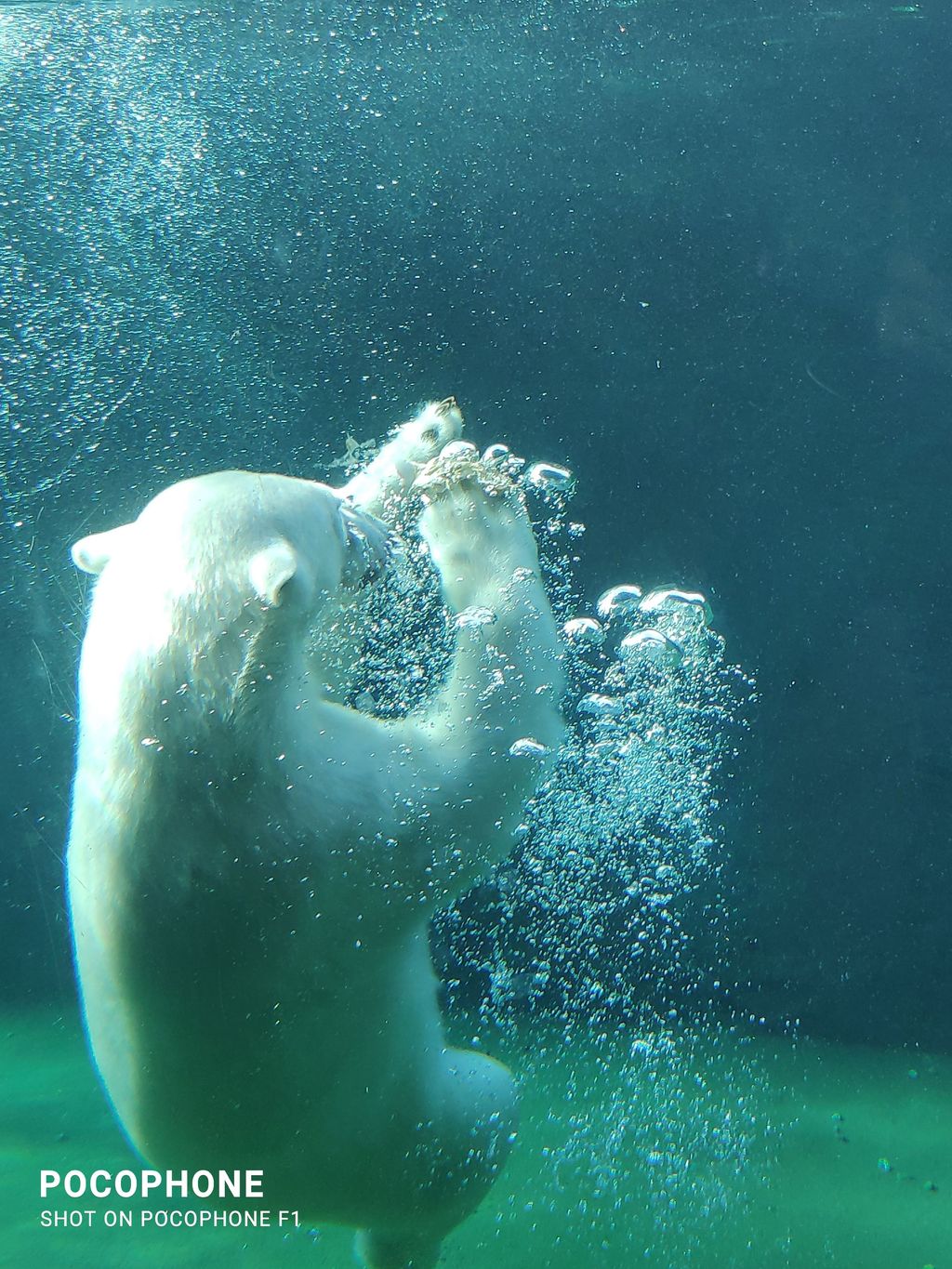 Rostocker Zoo