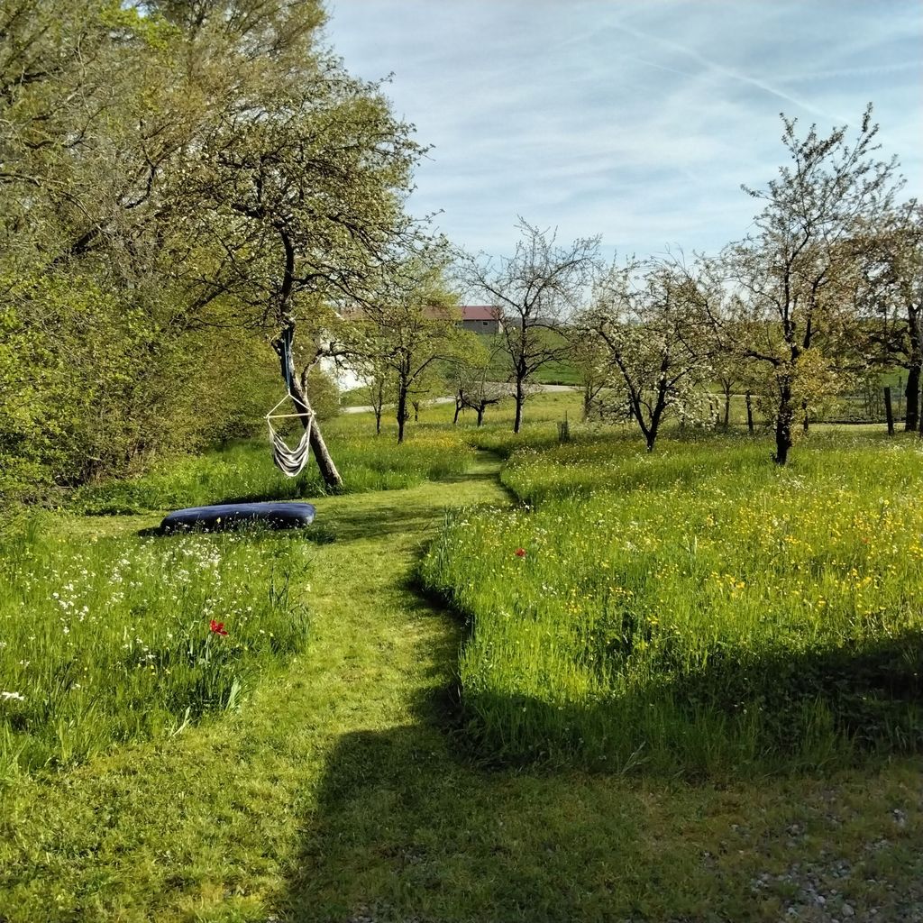 Recreation Relaxation Adventure Culture near Rothenbg