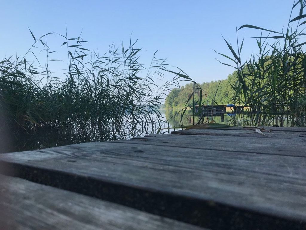 Idyllisches Stellplatz-Erlebnis mit Seeblick-Flair
