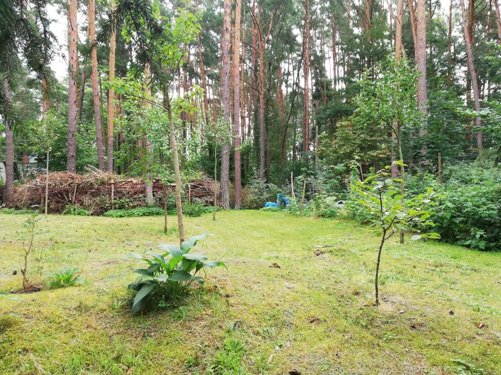 Idilio en el bosque y cerca del lago con piscina