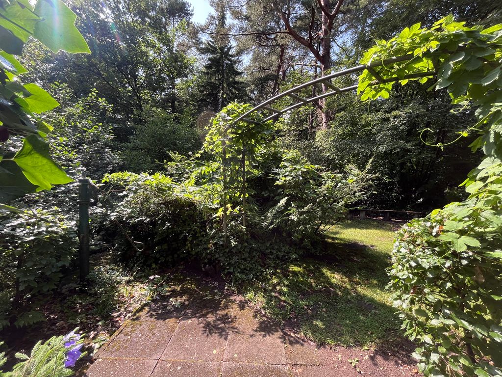 Idillio forestale tra Amburgo e Lüneburg Heath