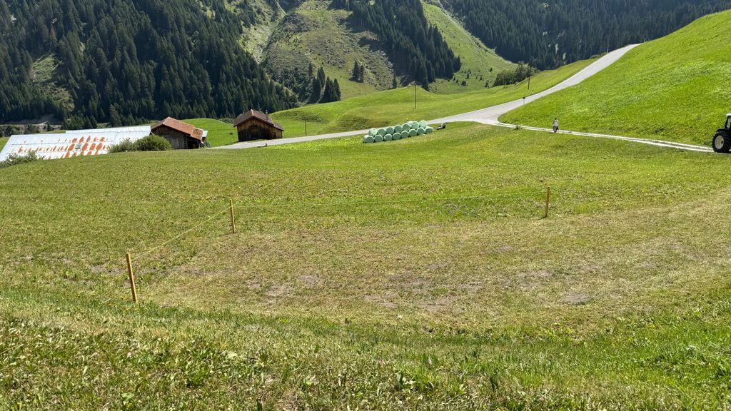 Panorama-Camp nahe der Greinaebene