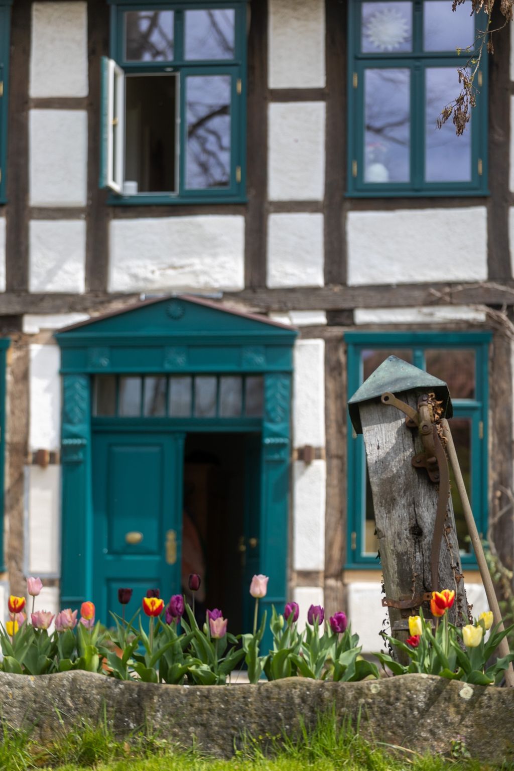 Dream place in the green behind the half-timbered house
