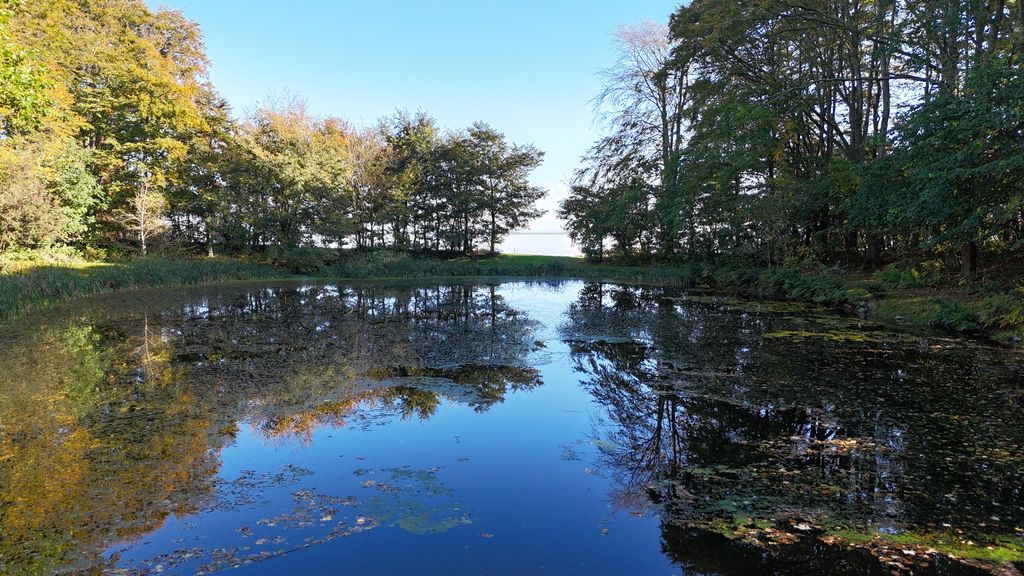 Pond with a view of the fjord