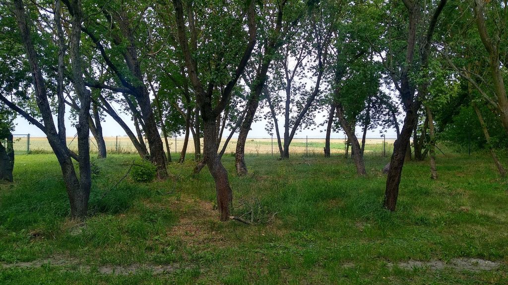 The Eckhof - meadow idyll near Berlin u. Wittenberg
