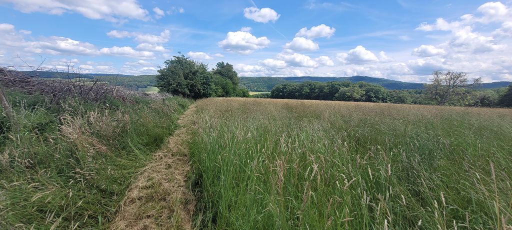 Dein Naturplatz zwischen Wald und Weite