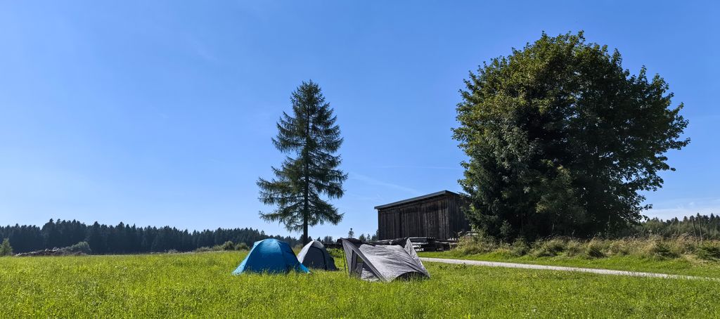 Camping sur l'alpage et au bord du ruisseau à 800 mètres d'altitude