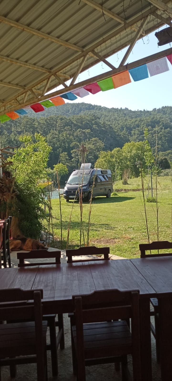 Pitch in the nature reserve - Köprülü Canyon