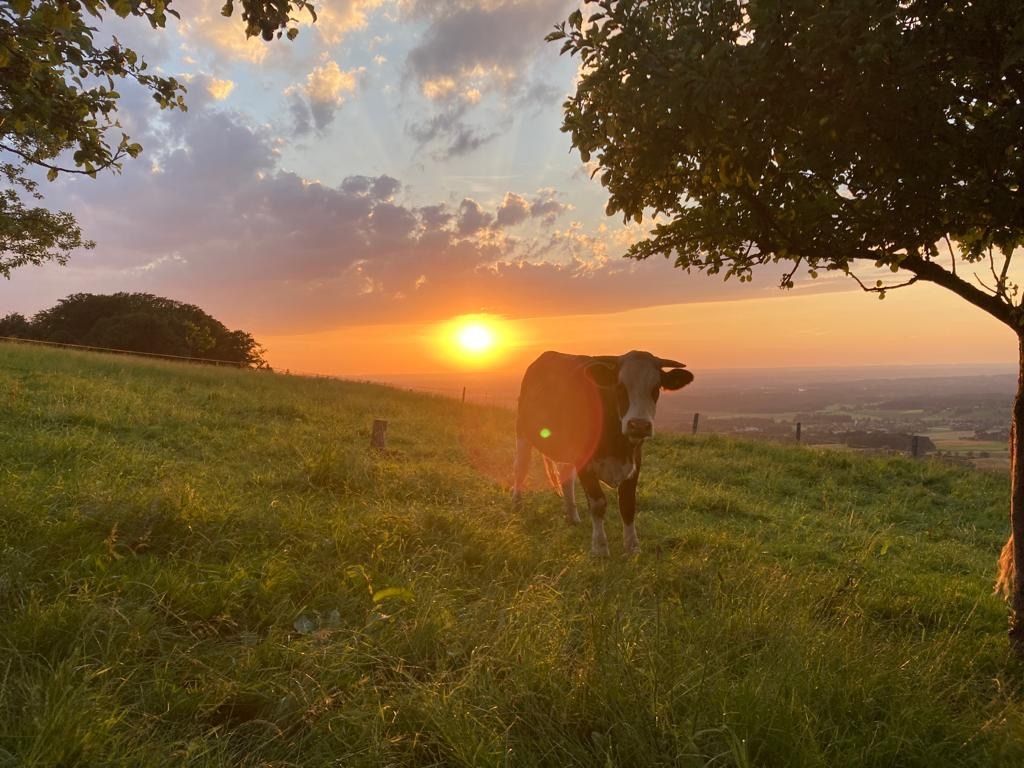 Sundownerplatz am Bauernhof mit toller Aussicht 