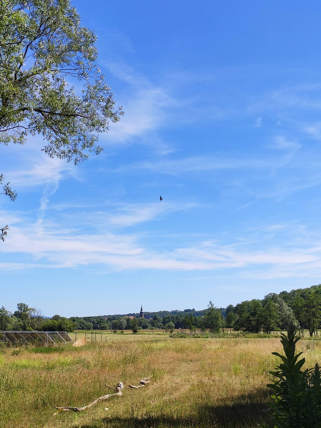 Rundrum Natur- Campen auf dem historischen Gutshof