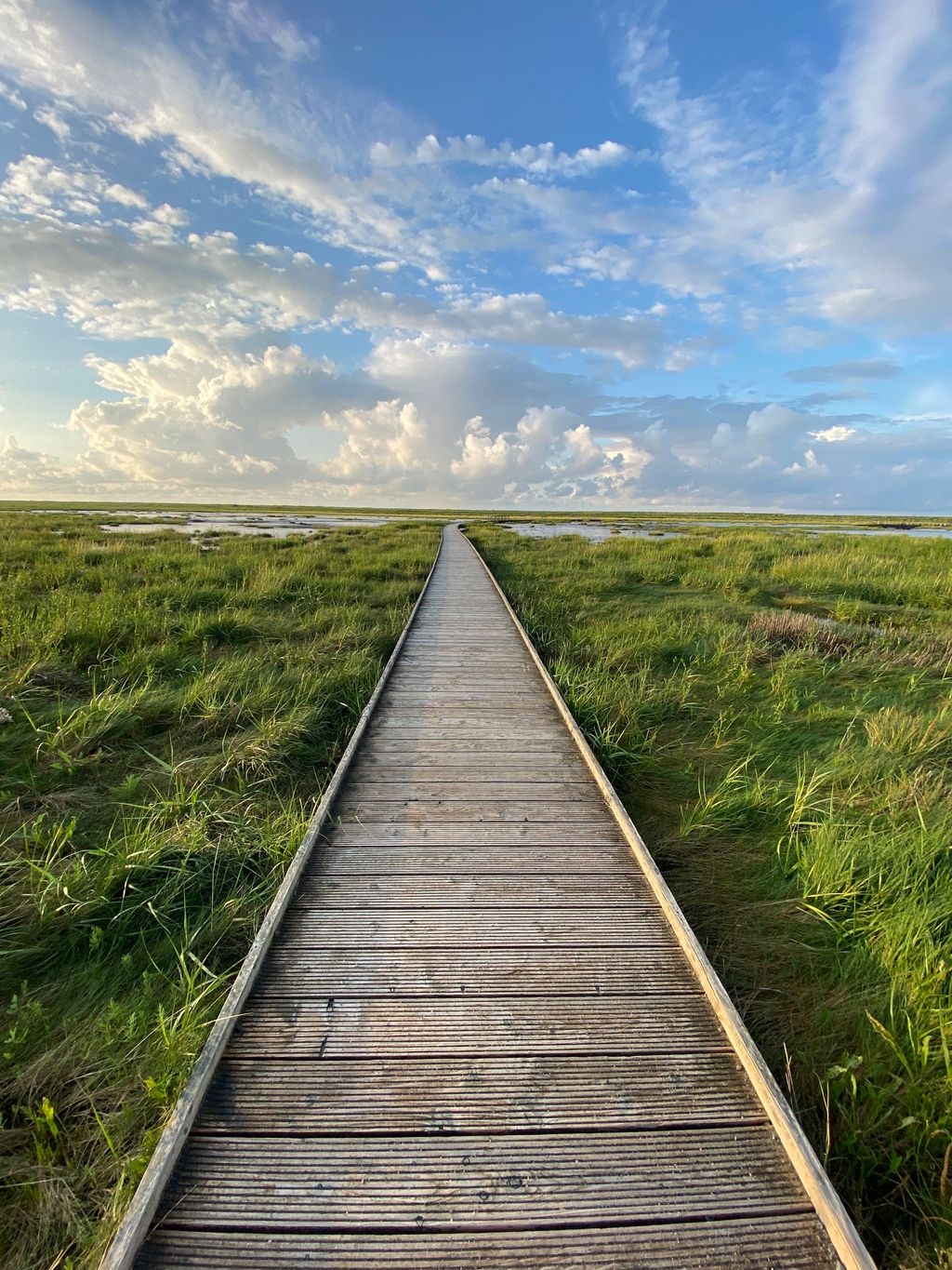 Urlaub im Bauwagen an der Nordsee 