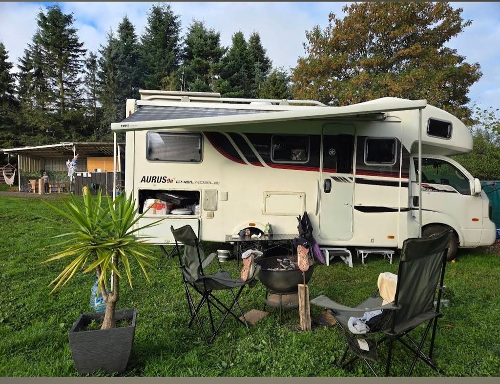 Urlaub bei Freunden auf dem Pferdehof 