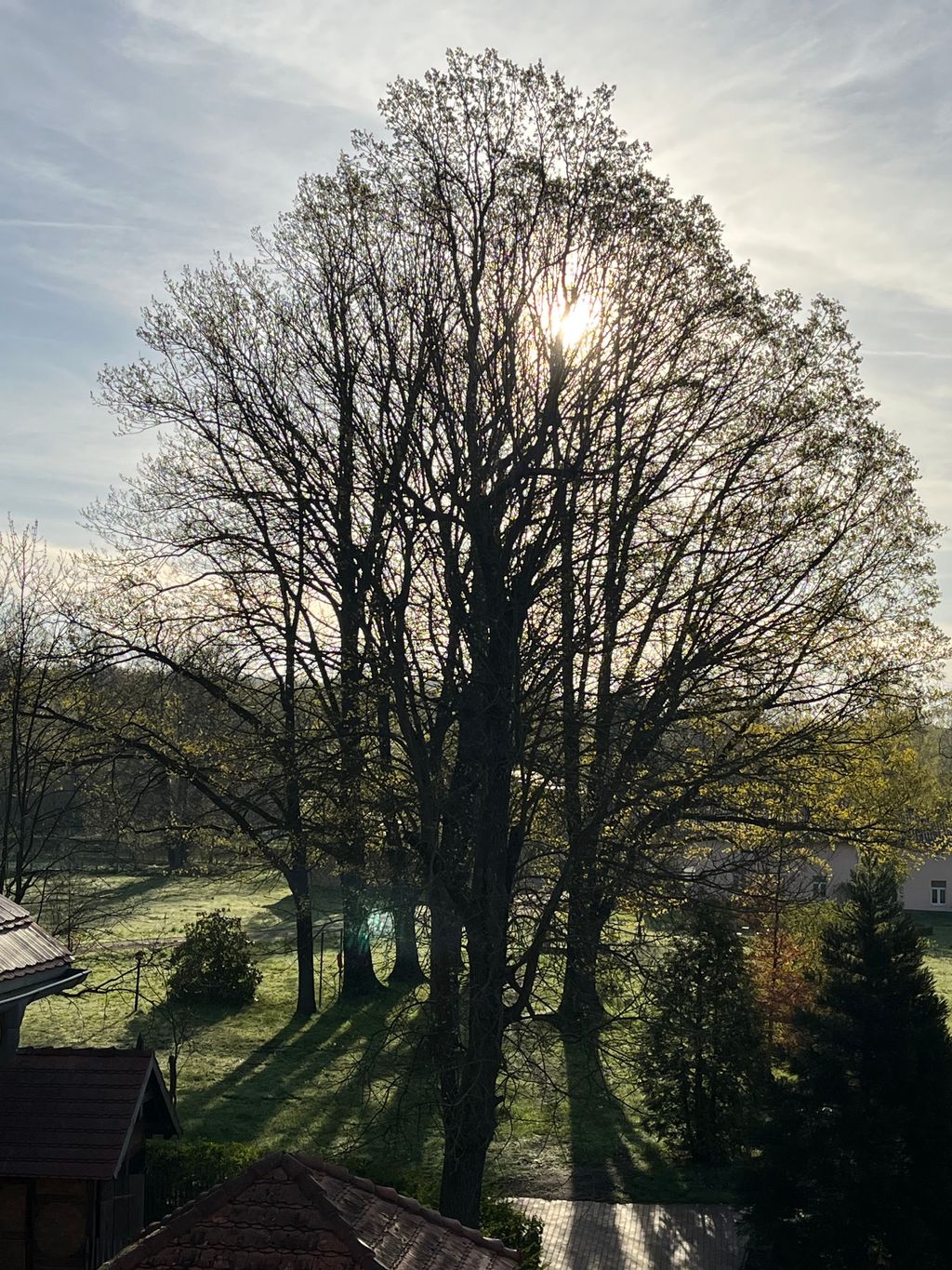 Country idyll on the estate