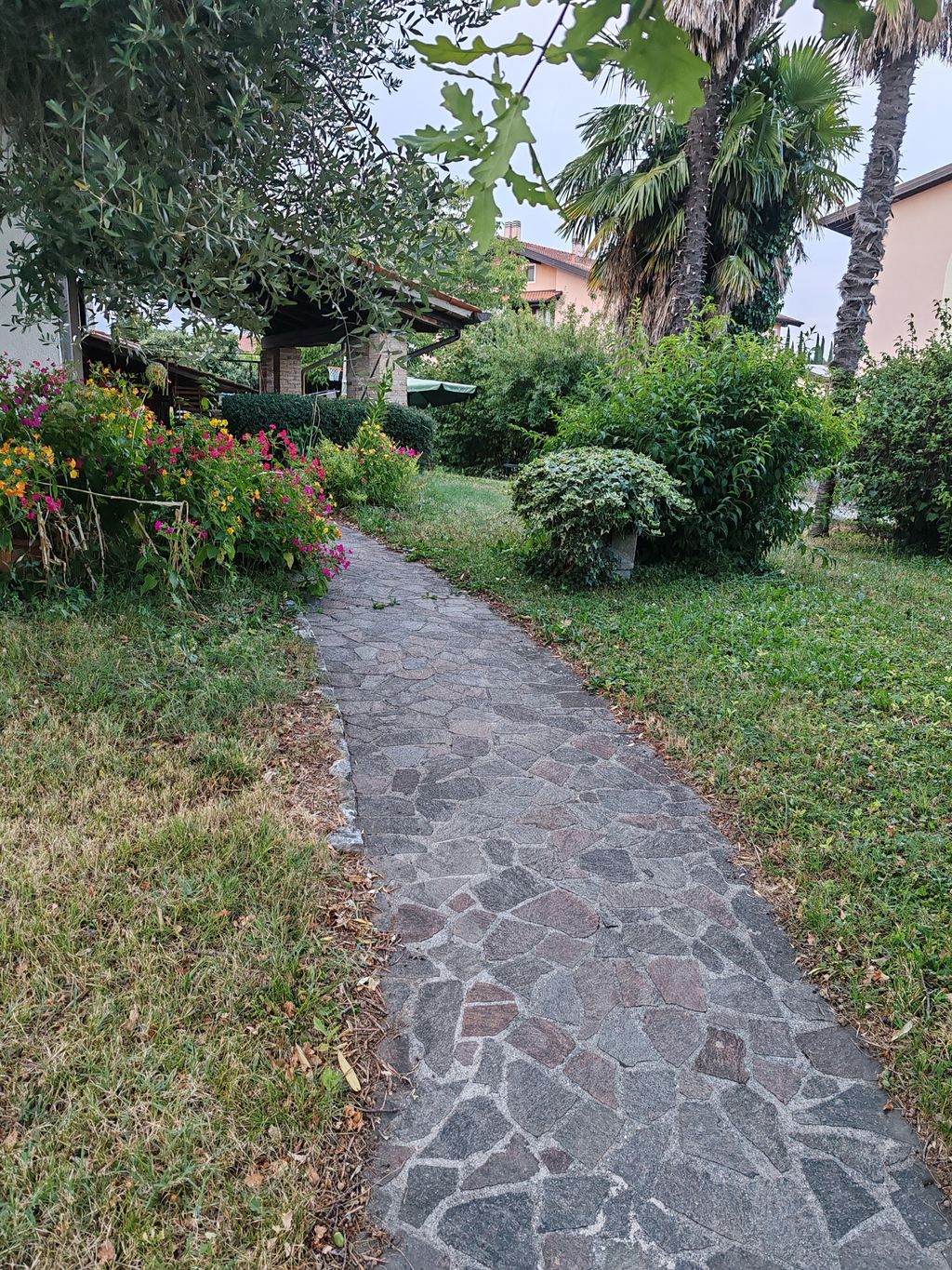 ZITRONENBAUMGARTEN