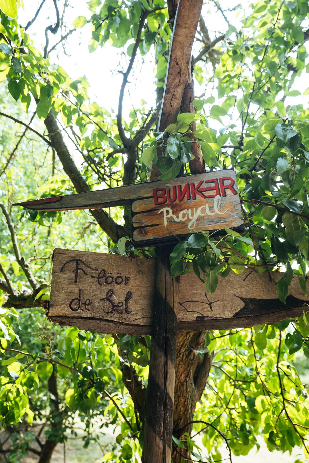 Apple orchard in the Uckermark with sauna & pizza oven