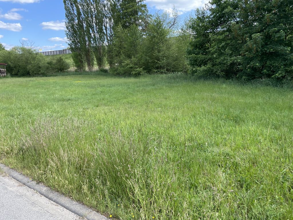 A green and peaceful idyll by the stream—right off the A3 