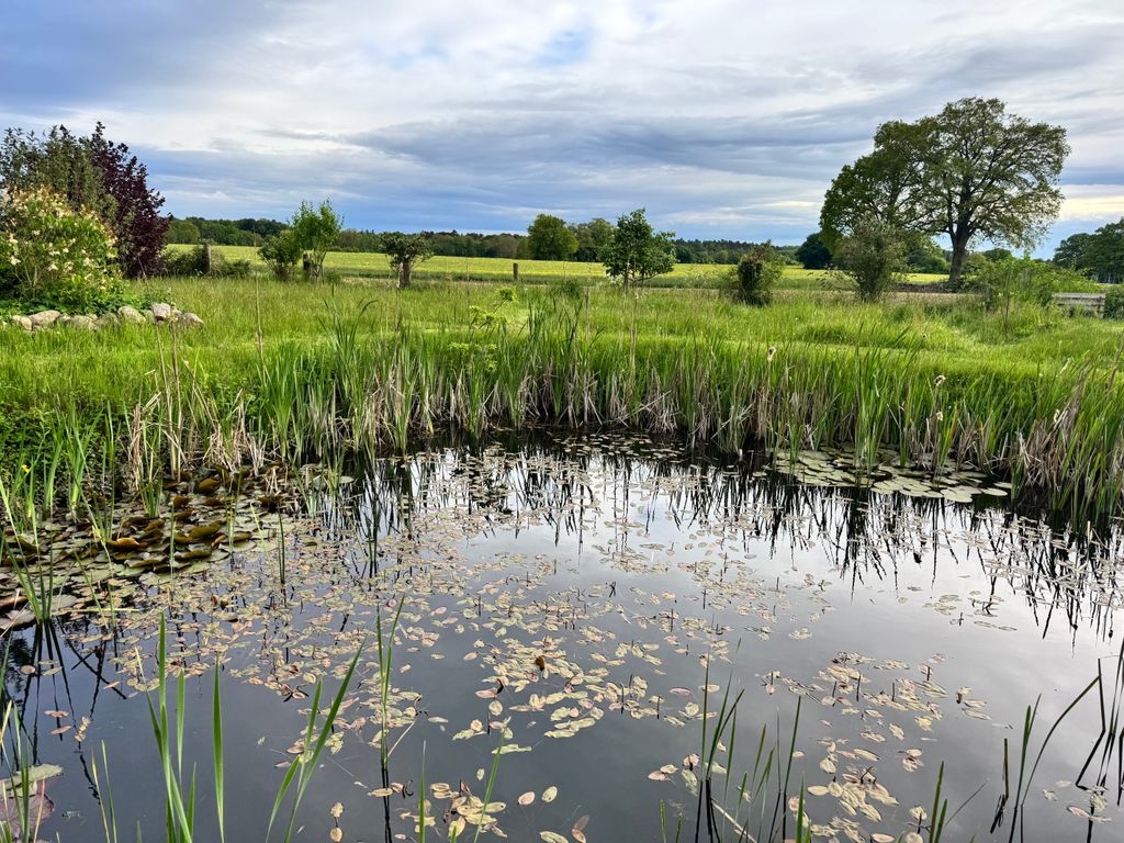 A peaceful retreat on Lake Steinhude - Secluded cottage "Feld&Teich"