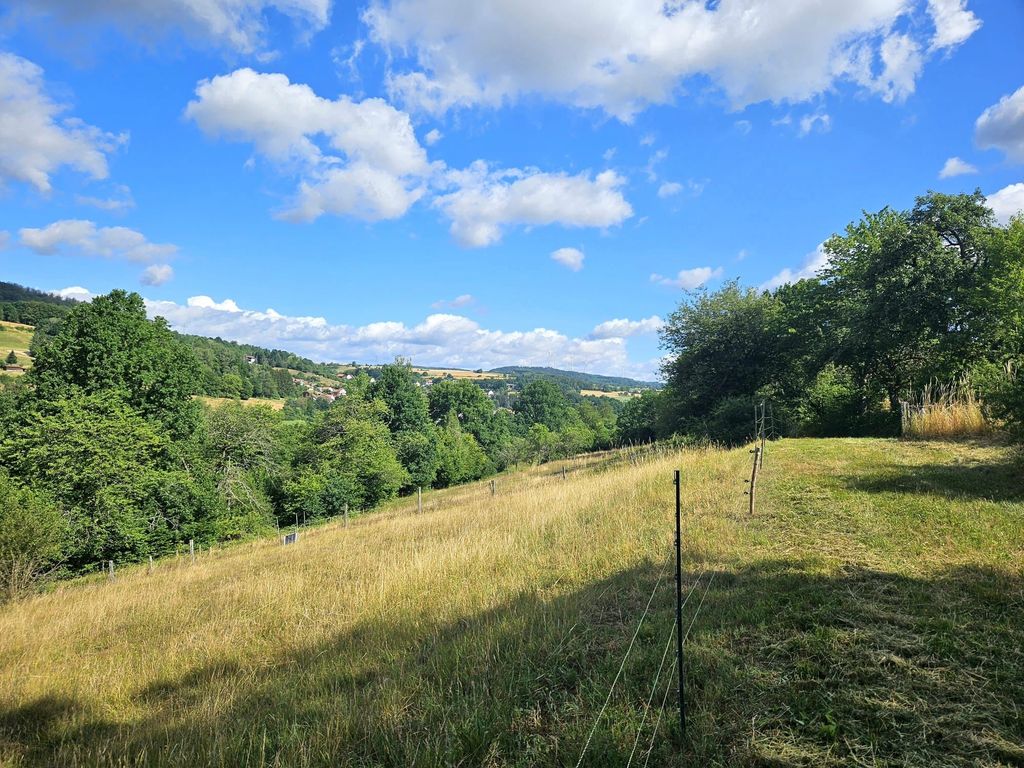 Grüne Wiese zwischen Rhön, Spessart und Vogelsberg