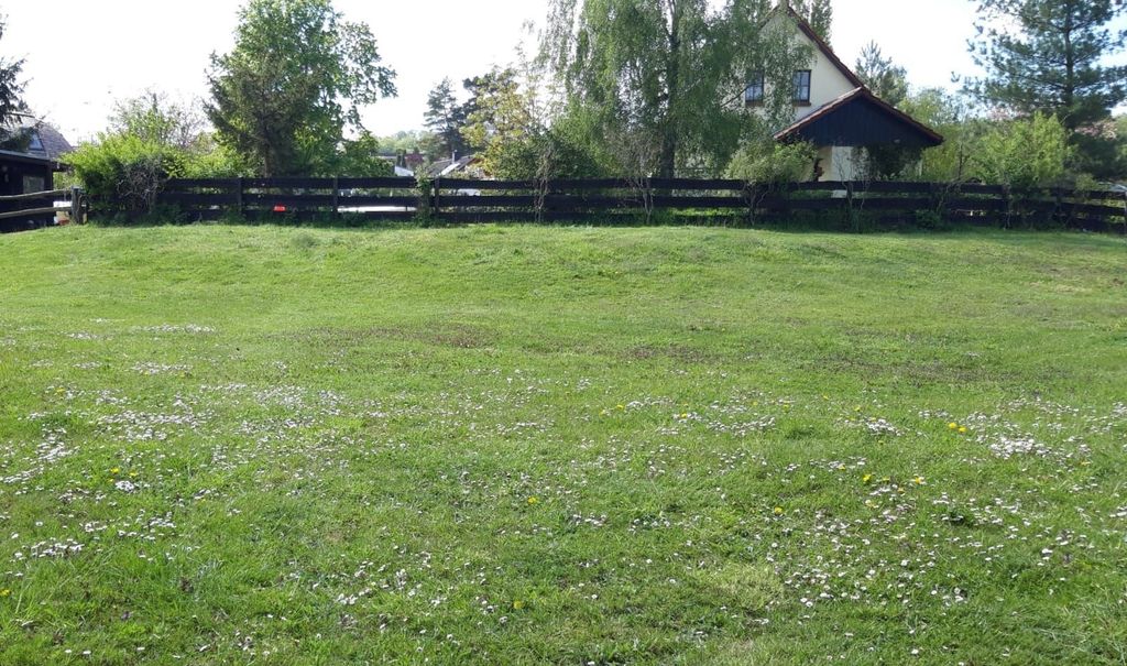 Shepherd's caravan/pitch on the beautiful Tollensesee lake