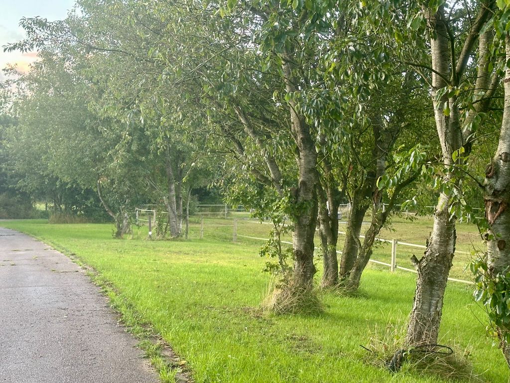 Jadelund: Ruhiger Stellplatz auf der Pferdefarm