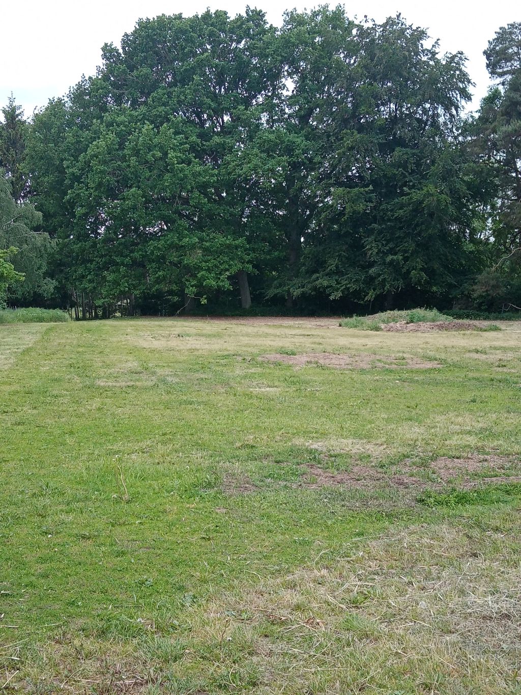 Randow-Idylle: Wiesen-Camp mit Tieren & Spielplatz