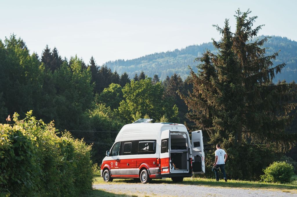 Al centro del parco dei cervi della Foresta Bavarese
