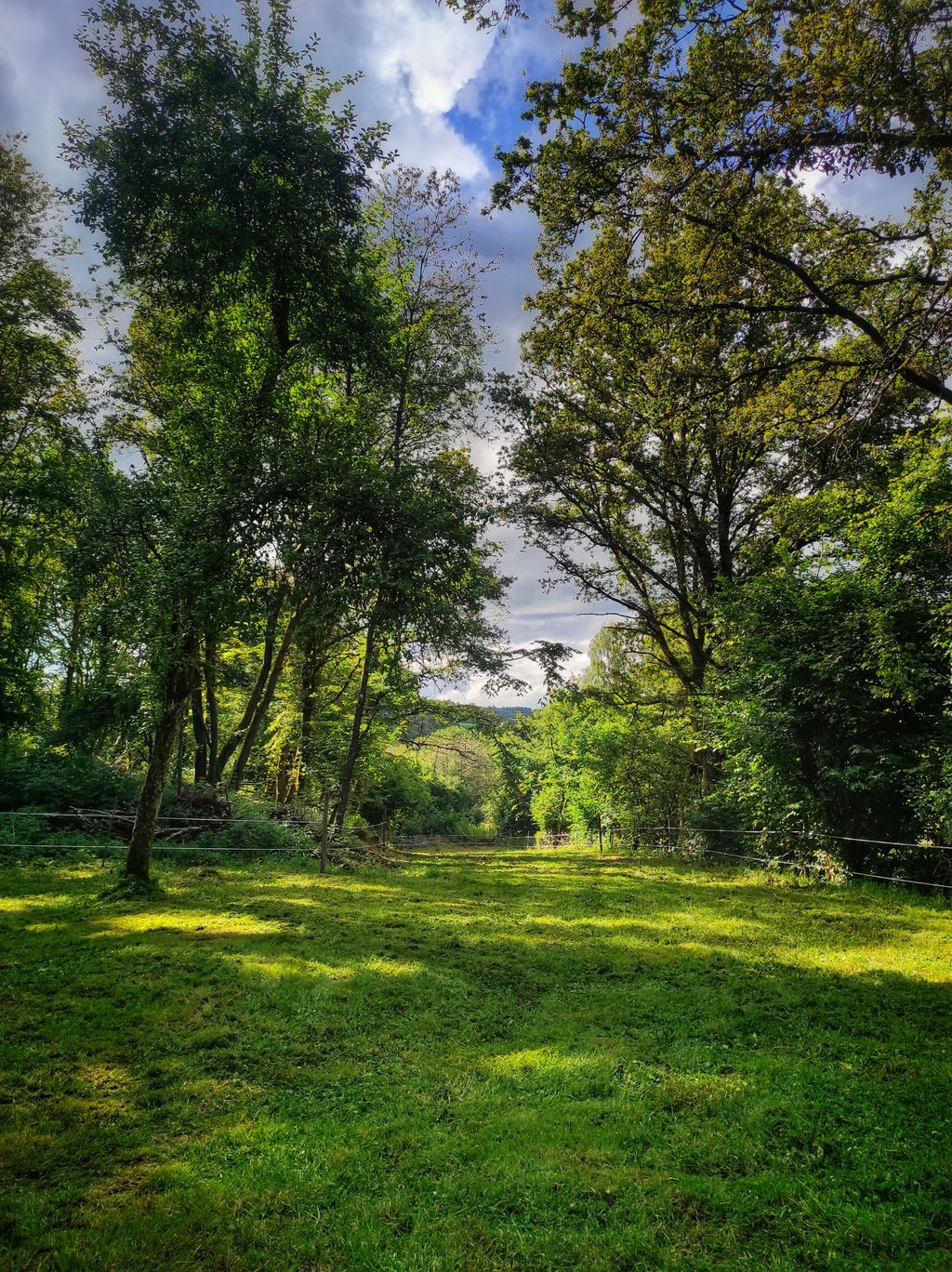 A place in the green under a walnut tree