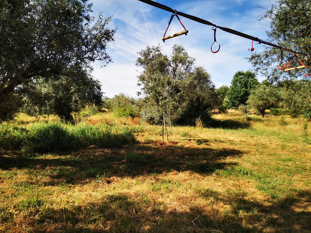 Dans le panier à olives