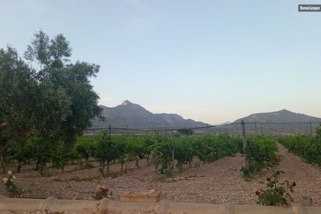 Ländlicher Rückzugsort: Weinberge, Olivenhaine und Meerblick