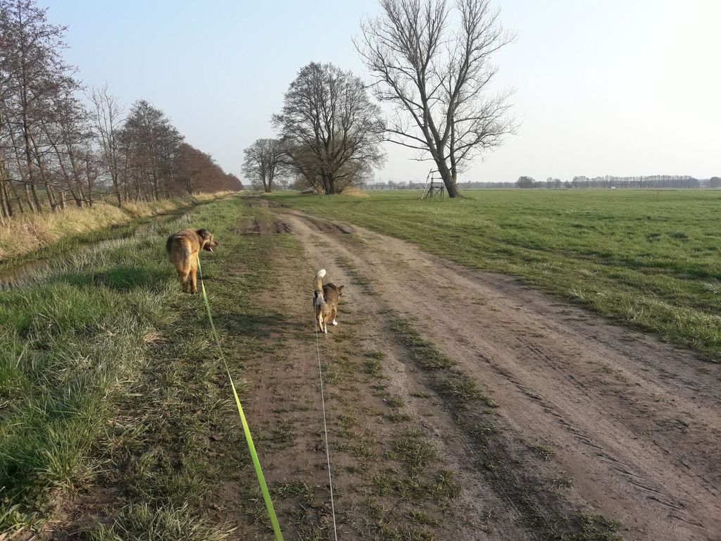 Parcela natural en la linde del bosque