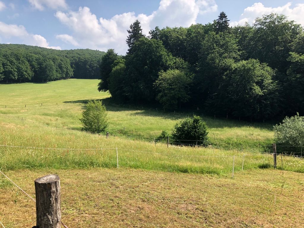 Vacances à la lisière de la forêt dans le parc national du Harz