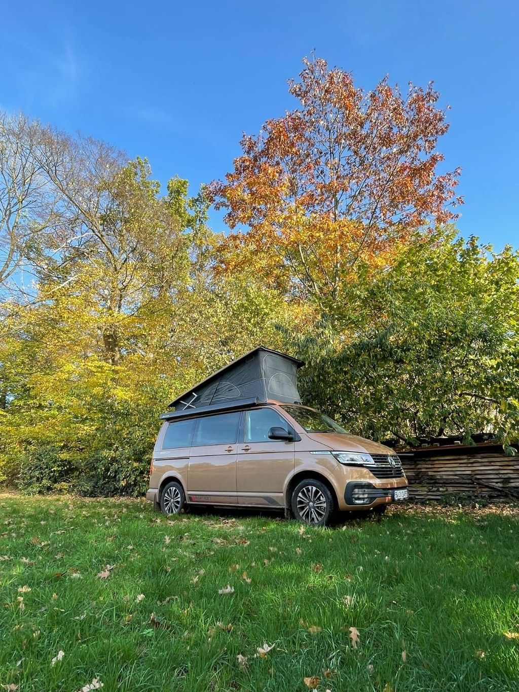 Green meadow in the forest or idyllic yard parking lot
