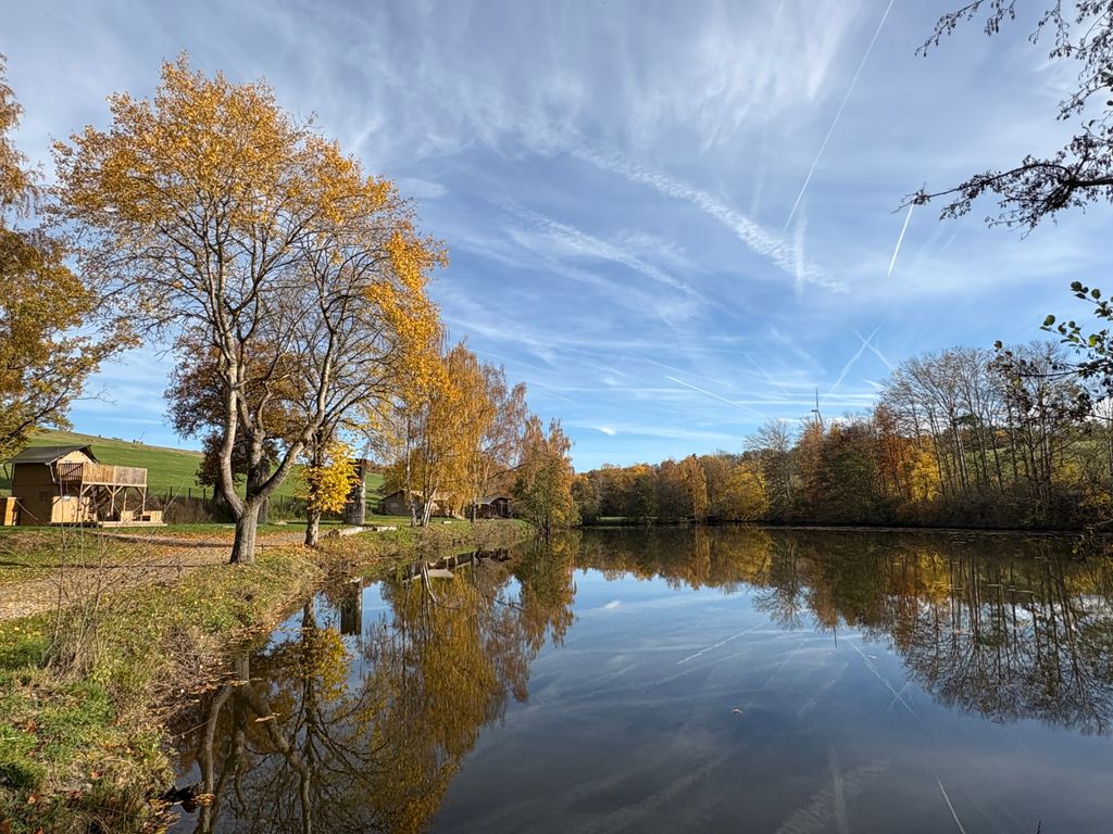 Camping au bord du lac dans le Hunsrück : un cadre naturel idyllique au bord de l'eau