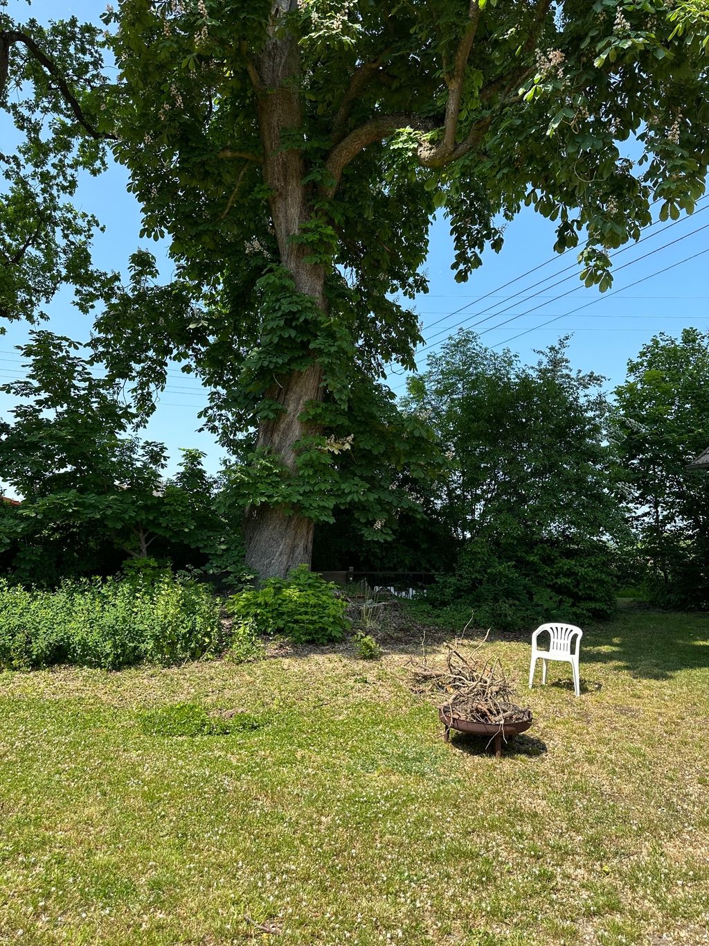 Zelt- und Stellplatz auf Bauernhof