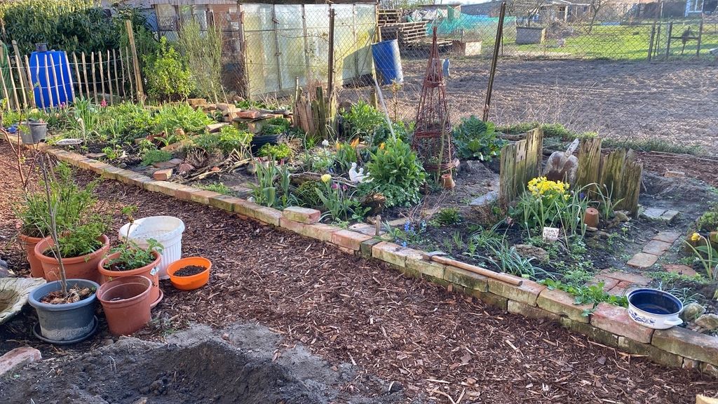 entspannt in der Wiese dem Alltag entfliehen