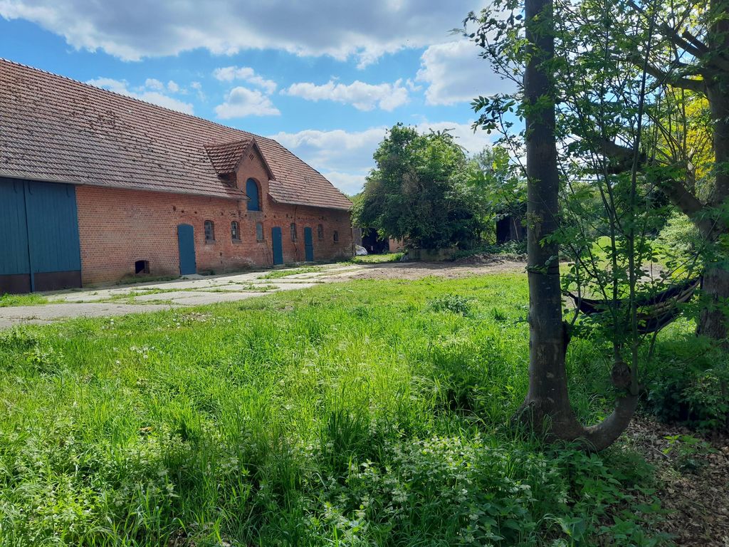 links Stellplatz auf Beton, vorne Stellplatz auf der Wiese, Schattenplatz  nur hinten unter dem Baum