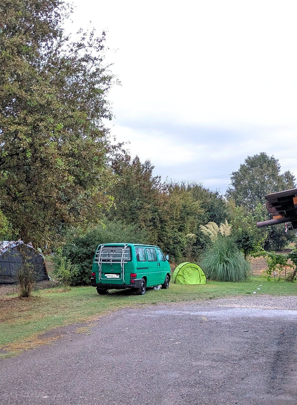 Ferme biologique de Parme : vin, miel et tracteurs d'époque