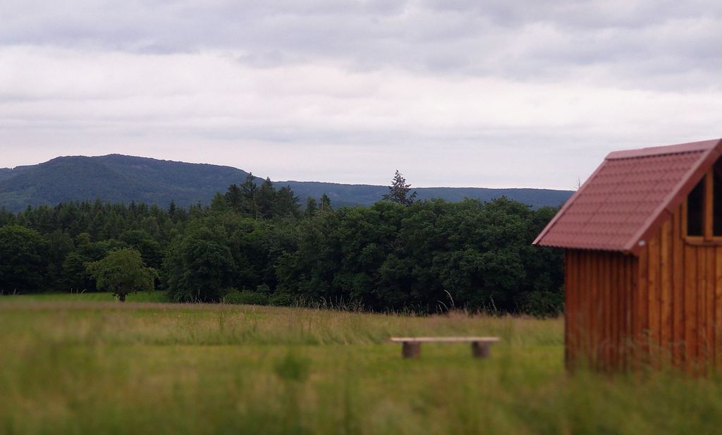 Verwildeter Obstgarten im Frau-Holle-Land