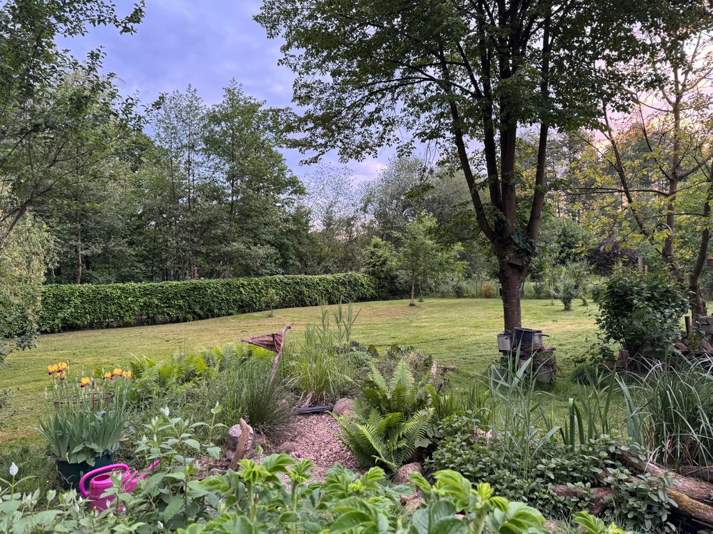 Idillio di campagna nella brughiera di Lüneburg