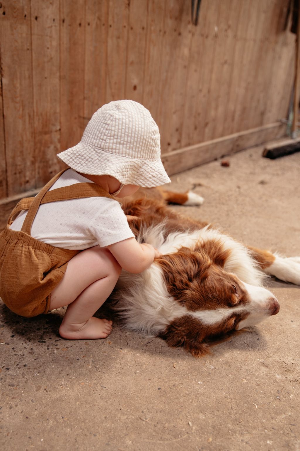 Rancho con caballos y ganado en el canal Ems-Jade