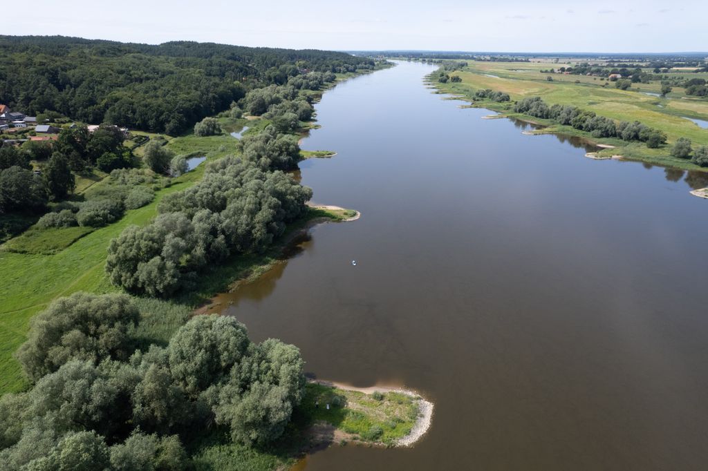Camping on the Elbe with access to the Elbe beach