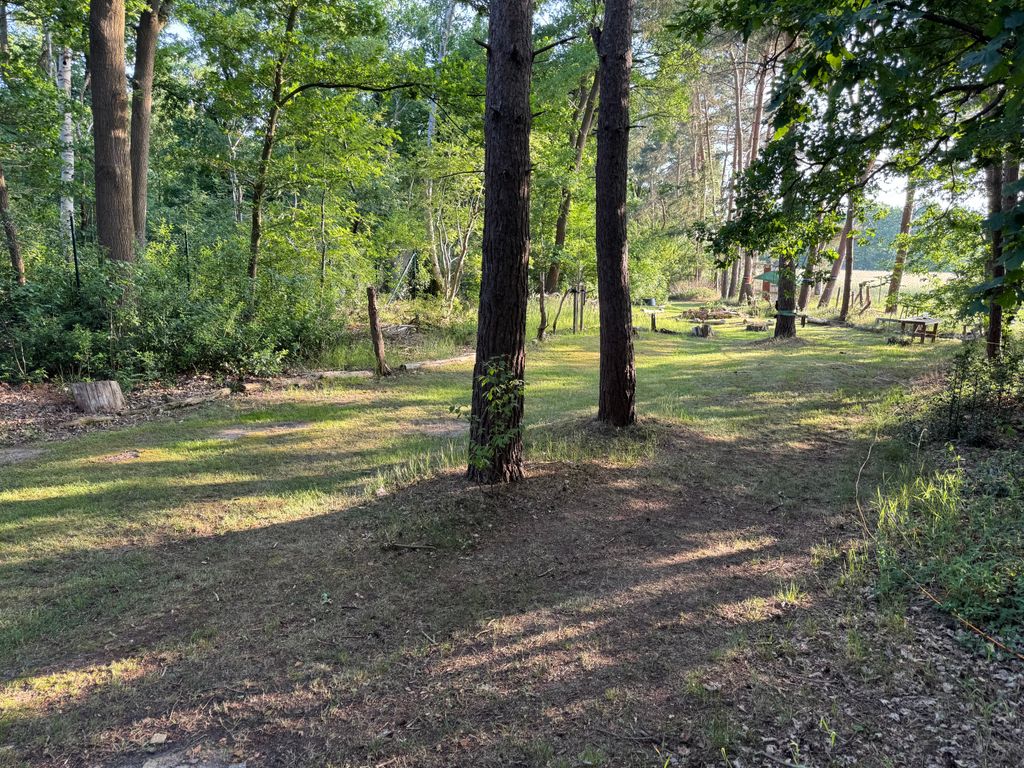 Idyllischer Zeltplatz am Moor – Natur pur!