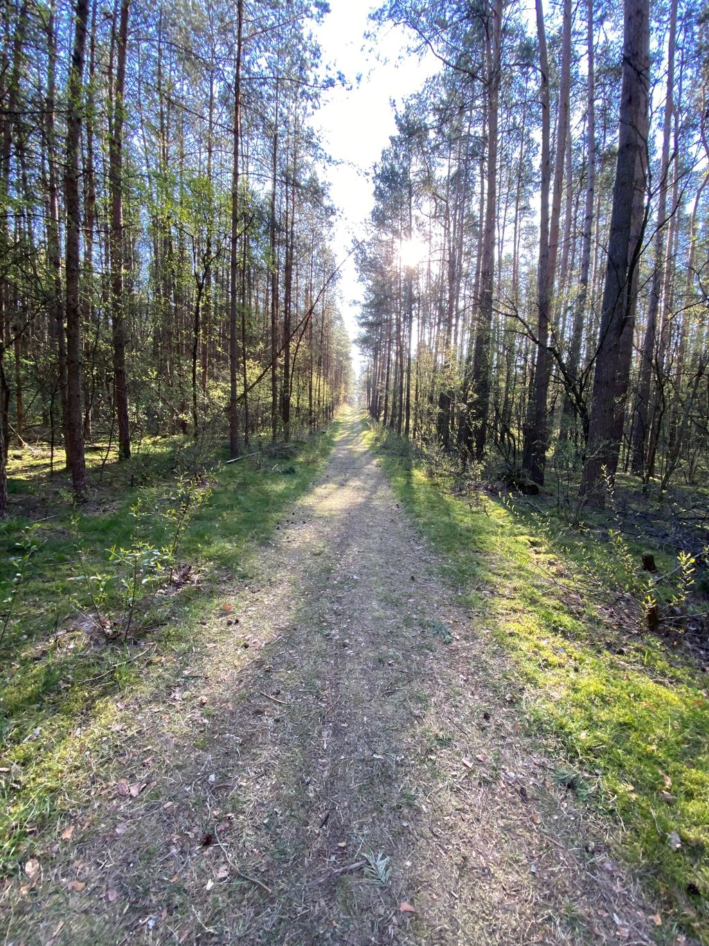 Campeggio nel recinto degli asini