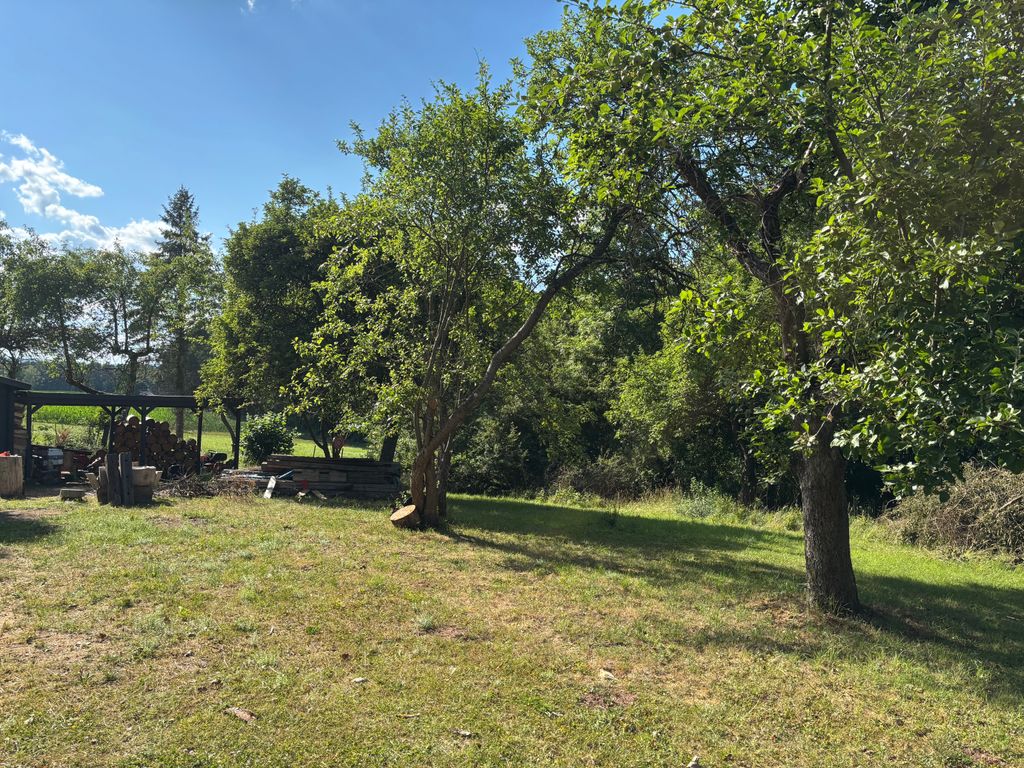 Camping en un lugar apartado, rodeado de árboles frutales